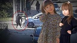 3 yaşındaki Elif Mavi'nin ölümü kahretti! Ev hapsi kararı aileyi isyan ettirdi