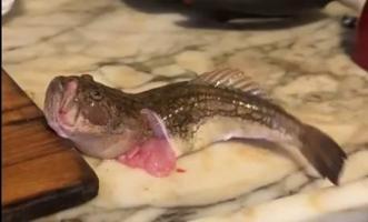 İçi alınan balığın bitmeyen hareketi şaşkınlık yarattı