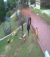 Adana’da vicdanları sızlatan anlar! 4 çocuk kuş yuvasını yerle bir etti