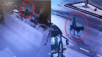 Kayseri’de şaşkına çeviren olay! Forkliftle kuyumcu soydu, eşekle kaçmaya çalıştı