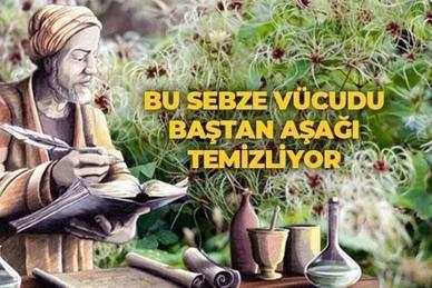 İbn-i Sina yüzyıllar önce önerdi: Bu sebze vücuda adeta reset atıyor, baştan aşağı temizliyor!