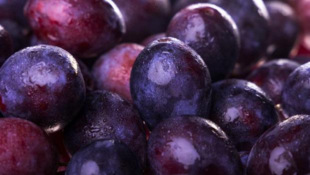 Yaz meyvesi deyip geçmeyin! Karaciğer ve gut hastalığını tetikliyor: Prof. Dr. Canan Karatay, bu 4 meyveye karşı uyardı: "Aman dikkat!")