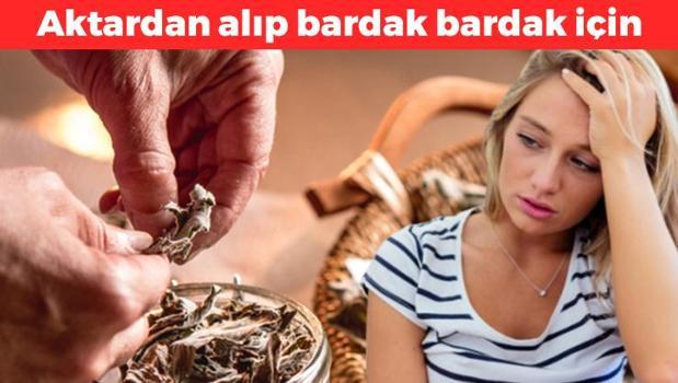 Aktardan alıp bardak bardak için! Doğal mide ilacı olarak biliniyor: Metabolizmayı canavar gibi yapıyor, şişkinlikten eser bırakmıyor)