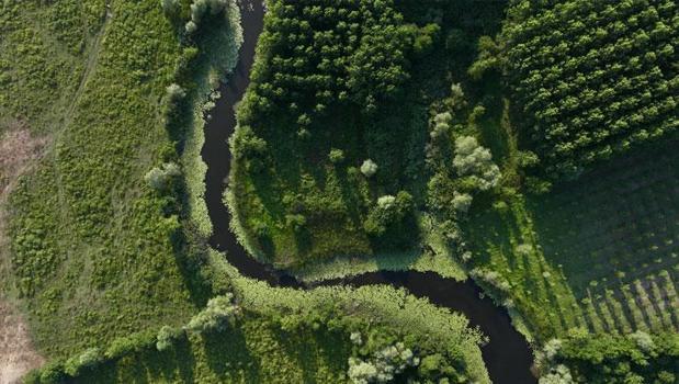 Dünyada ikinci Türkiye'de tek! Tek parça halindeki en büyük subasar ormanı: Acarlar Longozu ziyaretçilerini doğal güzellikleri keşfe çıkarıyor)