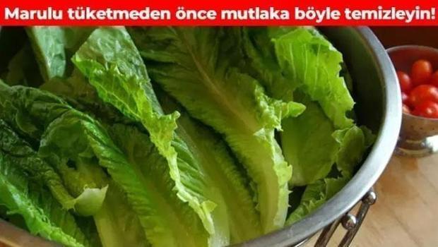 Maruldaki pestisiti saniyeler içinde arındırıyor! Sirke ya da karbonattan 10 kat daha etkili)