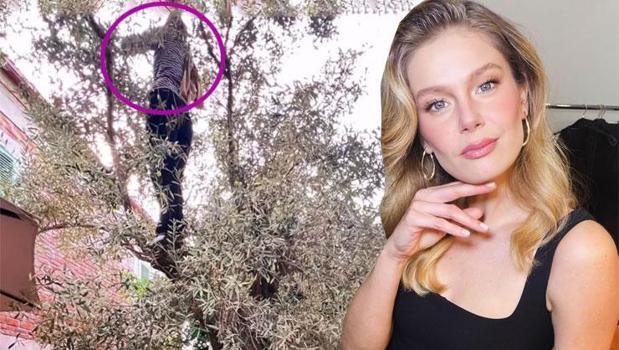 Güzel oyuncu ağaç tepelerinde! Burcu Biricik zeytin topladı)