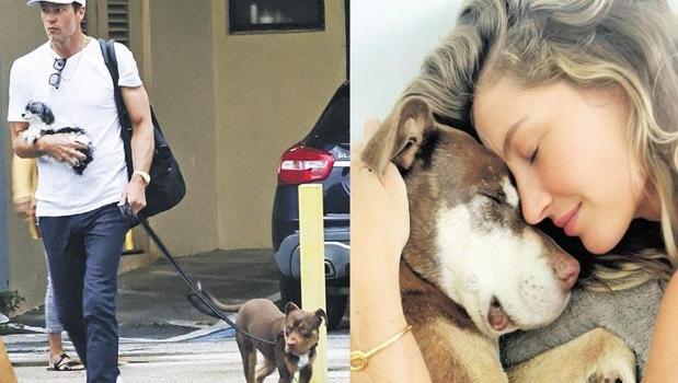 Köpeğini klonlattı)