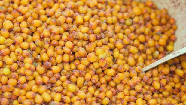 'Sibirya mucizesi' olarak da biliniyor! Yaşlanma hızını 10 kat yavaşlatıp tıkalı damarları yağ çözücü gibi açıyor!)