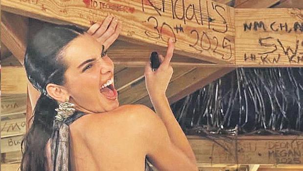 Issız adada lüks parti)