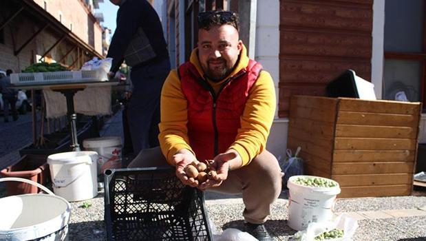 Aydın dağlarında kendiliğinden yetişiyor! Halk arasında 'muşmula' olarak biliniyor: Kilosu 50 TL'den satılıyor)