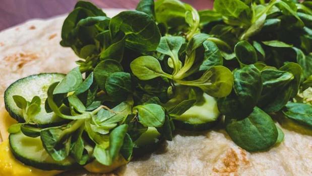 Ispanak, lahana ve sarımsaktan 10 kat daha faydalı! Dünyanın en sağlıklı sebzesi: Kemikleri beton gibi güçlendirip demir değerlerini zirveye taşıyor!)