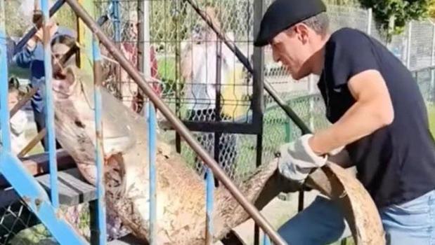 Piknik yapmak isterken 20 bin liranın sahibi oldu)