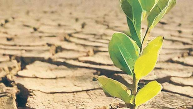 Zorunlu afet sigortası için geri sayım)