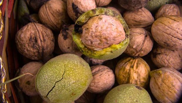 İçini yiyip kabuğunu sakın çöpe atmayın! Öyle bir faydası varmış ki, resmen doğal mücevher!)