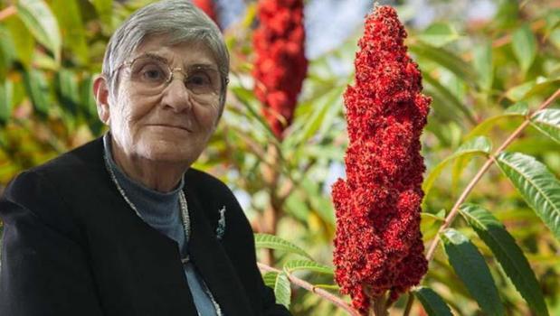 1 kaşığını suya atıp kaynatın! Karaciğeri yeniden doğmuş gibi yapıp bağırsakları motor gibi çalıştırıyor! Canan Karatay'ın da favorisi)