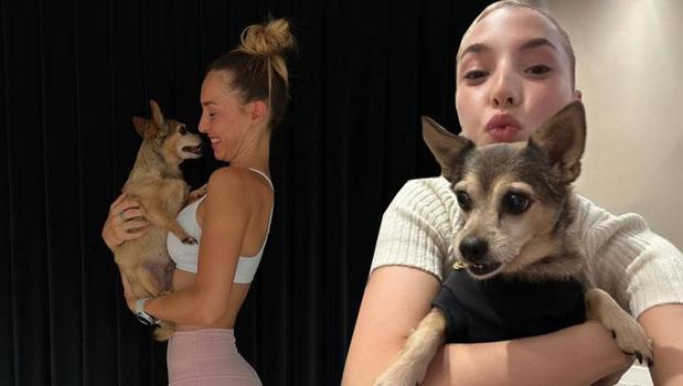 Can dostunu kaybetmişti! Sude Burcu özlemini dile getirdi)