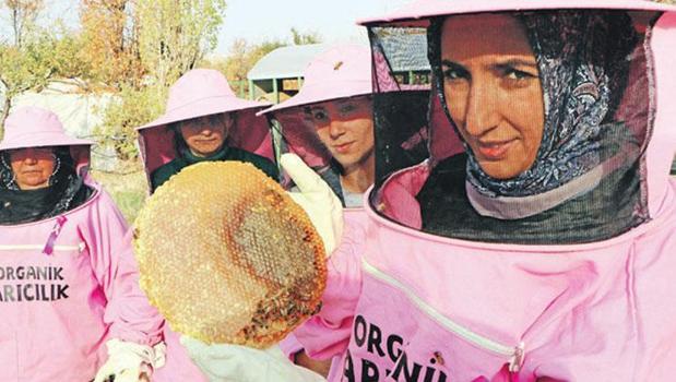Pembe maskeli arıcılar)
