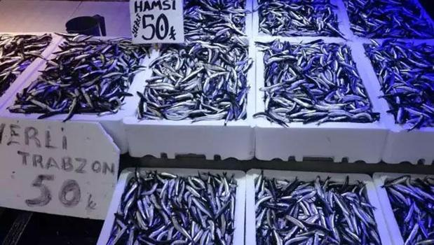 Trabzonlular hamsiye doydu: Kilosu 50 TL'den satılıyor)