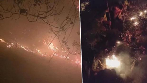 Hatay’da ormana düşen yıldırım yangına neden oldu!)