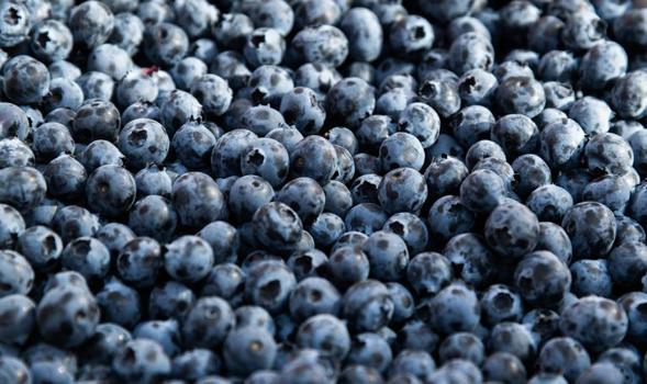 Bilimsel olarak kanıtlandı: Yaban mersini cildi yeniliyor, parlaklık katıyor)