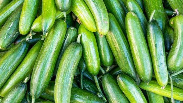 Kahvaltıların vazgeçilmezi ama dikkat! Bu kişilerin salatalığı ağzına bile sürmemesi gerekiyor!)