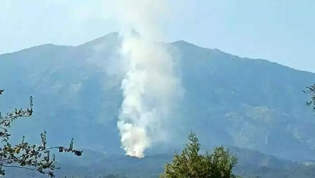 Muğla'da orman yangını! Ekipler müdahale ediyor)