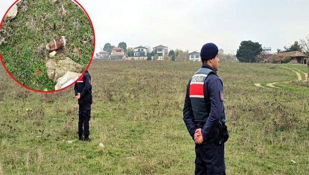 Mantar toplarken buldular, anında imha edildi)