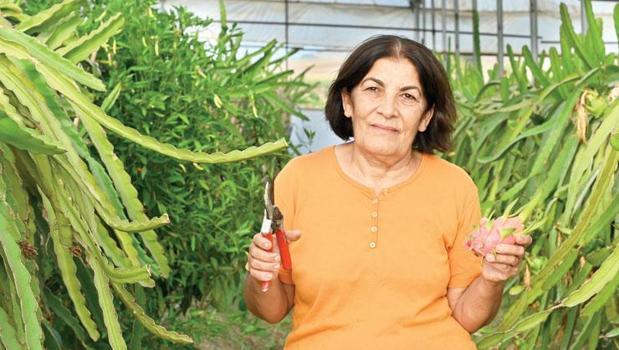 Kadın eli değen topraklarda bereket var)