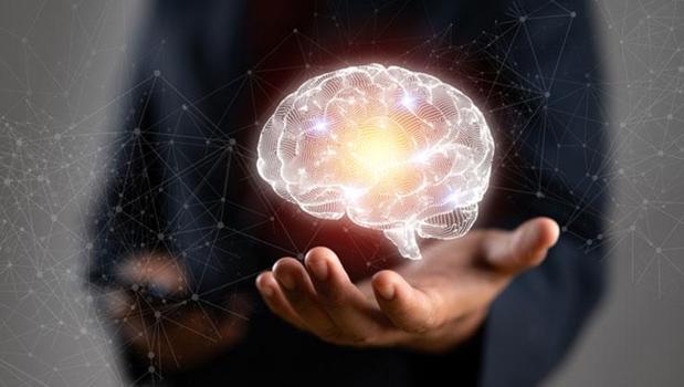 Beynin beş gizli dönemi ortaya çıktı! Meğer dönüm noktası bu yaşta başlıyormuş)