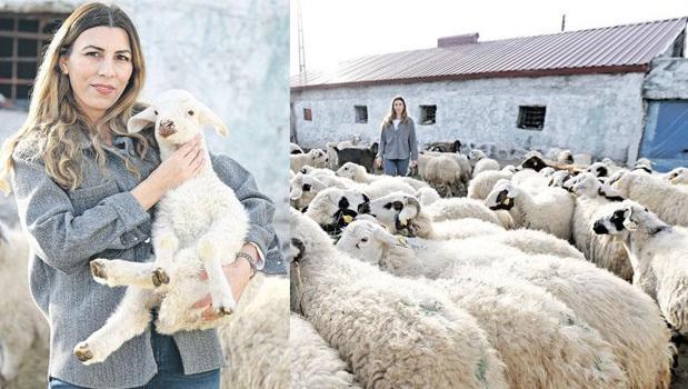 Köyde yaşamak için bir 'sürü' neden)