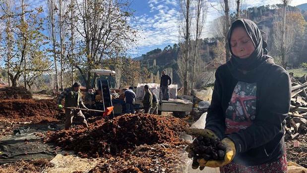 Dikenlerinden çıkartıp pazarda kilo kilo satılıyor! 'Herkesin bu lezzeti tatmasını isteriz')