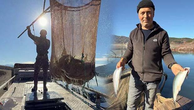 Denizi olmayan Tokat'ın somonları dünya sofralarını süslüyor! Dünyanın dört bir yanından talep yağıyor: 'Rusya, Japonya ve Çin’e yolluyoruz')