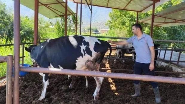 Muğla'nın Milas ilçesinde 11 mahalle karantinaya alındı)