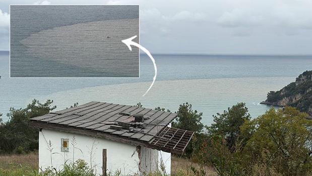 Bartın Irmağı'nın döküldüğü noktada endişelendiren manzara!)