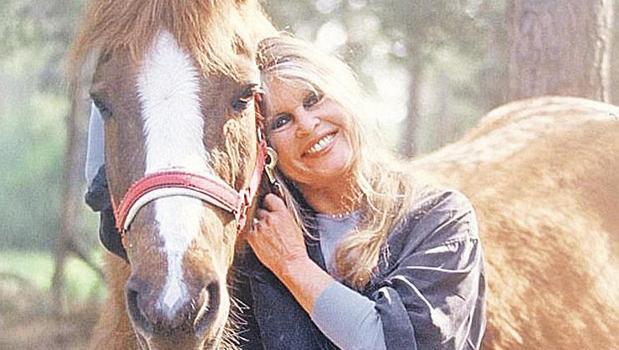 Ölümünden sonra kriz çıktı)