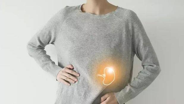 Kanı temizliyor, demiri geri dönüştürüyor! Bu organın değeri sandığınızdan daha fazla)