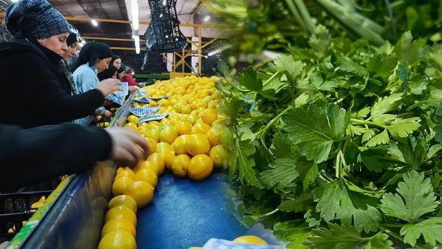 C vitamini içeriği limonu portakalı 2'ye katlıyor! Meğer gribe kalkan olan oymuş...)