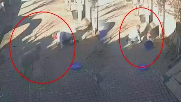 Silivri'de koç tarafından saldırıya uğrayan adam hastanelik oldu!)