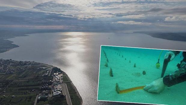 Bir yılda 30 santimetreye ulaştı! Çanakkale Boğazı santim santim inceleniyor: 'Adeta mezarlığa dönmüştü')