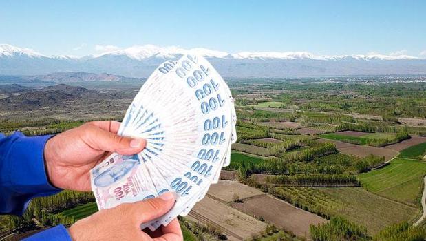 Arsada ‘altın çağ’ sona erdi! Toprak yatırımcısı enflasyona yenildi)