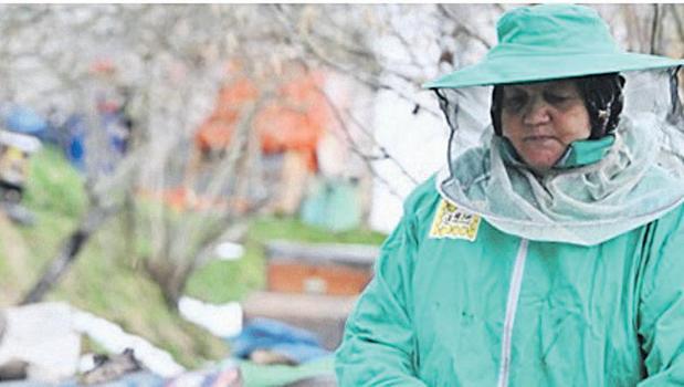 10 kovanla başladı 300 kovana ulaştı)