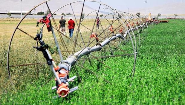 Tarladaki kaçak elektrik cebimizi çarpıyor! En büyük sorun mısır sulamasında)