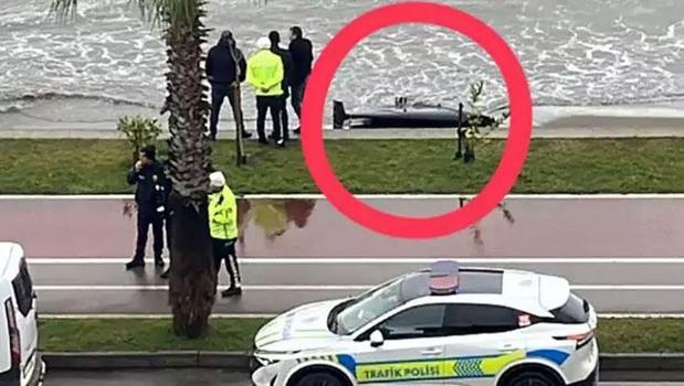 Ünye sahilinde ekipleri harekete geçiren görüntü)