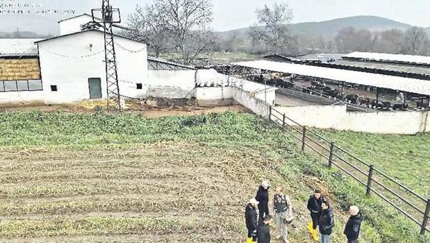 Ölüm çiftliği! 20 yıl önce kaybolan 3 kişi cinayet kurbanı)