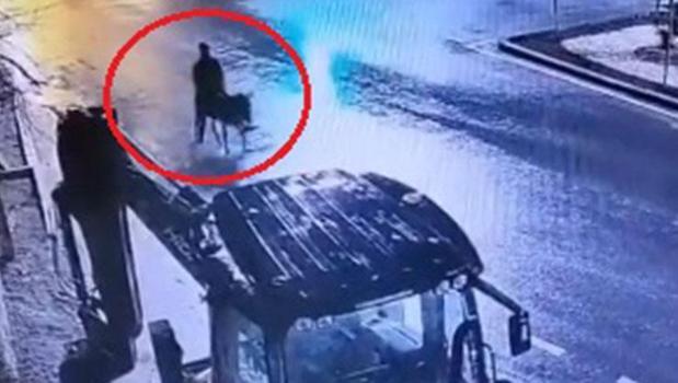 Forkliftle kuyumcu soyup eşekle kaçmıştı! İfadesi ortaya çıktı)