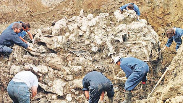 Gündüz katliam, gece parti! Uluslararası insan safarisi skandalı)