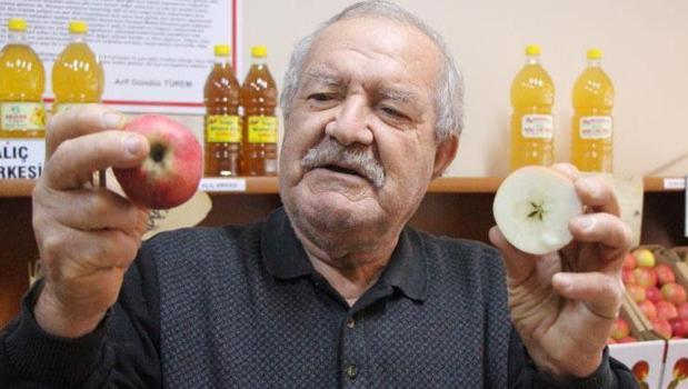 Amasya misketi kapış kapış satılıyor! Kilosu 150 TL: Sahtesini 'yıldız testi' ifşalıyor)