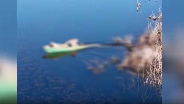 Şanlıurfa'da yasa dışı avcılık yapan 11 kişiye idari işlem)