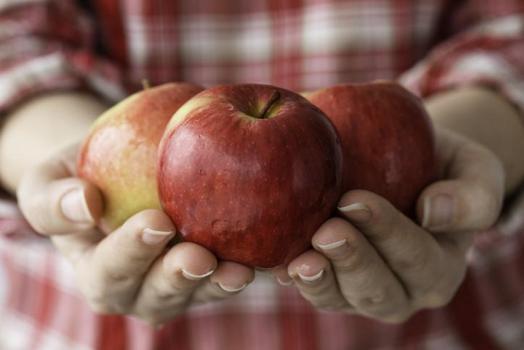 Yıkamak yetmiyor! Elma ve armut tüketenlere korkutan uyarı: O detayı kimse bilmiyor)