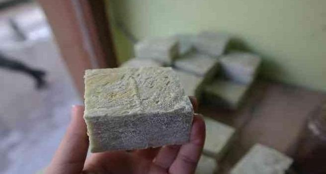 Ekonomiye dev katkı: İspanya ve Fransa'yı geride bıraktı: Türkiye'de yetişen bu ürün dünyanın gözdesi)